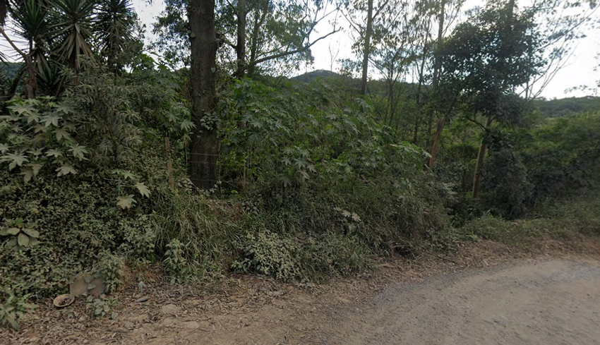 Corpo de uma Mulher Descoberto em uma Área de Mata em Santo André