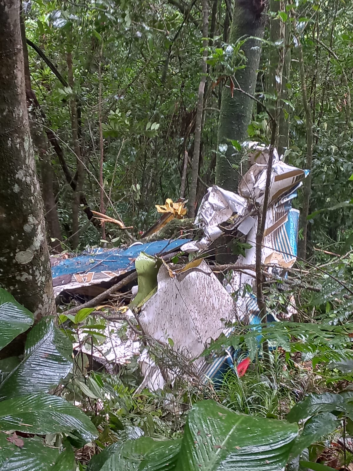 Avião de pequeno porte cai e deixa dois mortos em Rio Grande da Serra