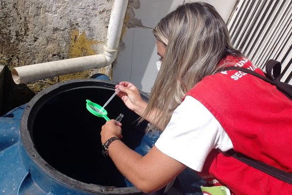 Mauá intensifica ações  após aumento de casos de dengue
