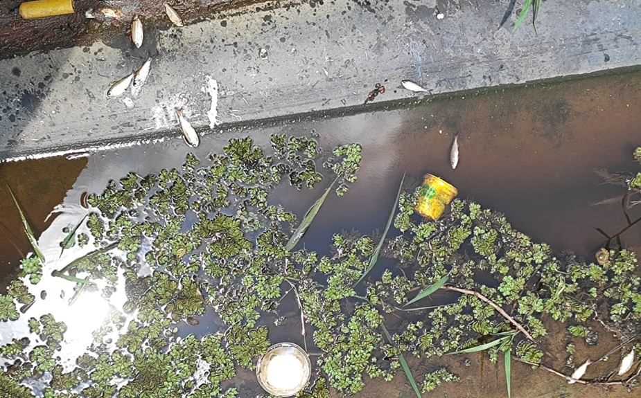 Ribeirão Pires e Rio Grande da Serra Investigam Contaminação da Água