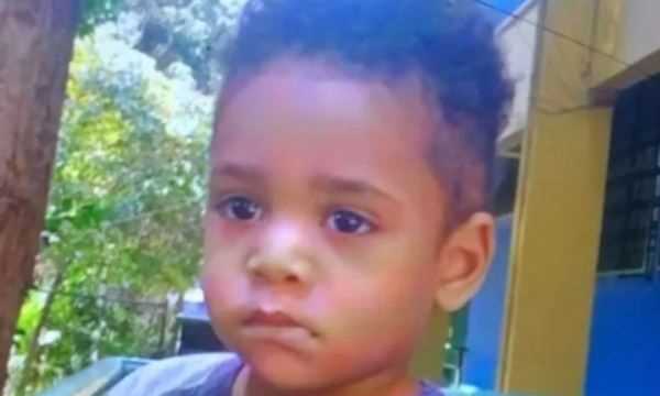 Tragédia em São Paulo: Criança de Dois Anos Falece Após Ser Esquecida em Van Escolar por Seis Horas