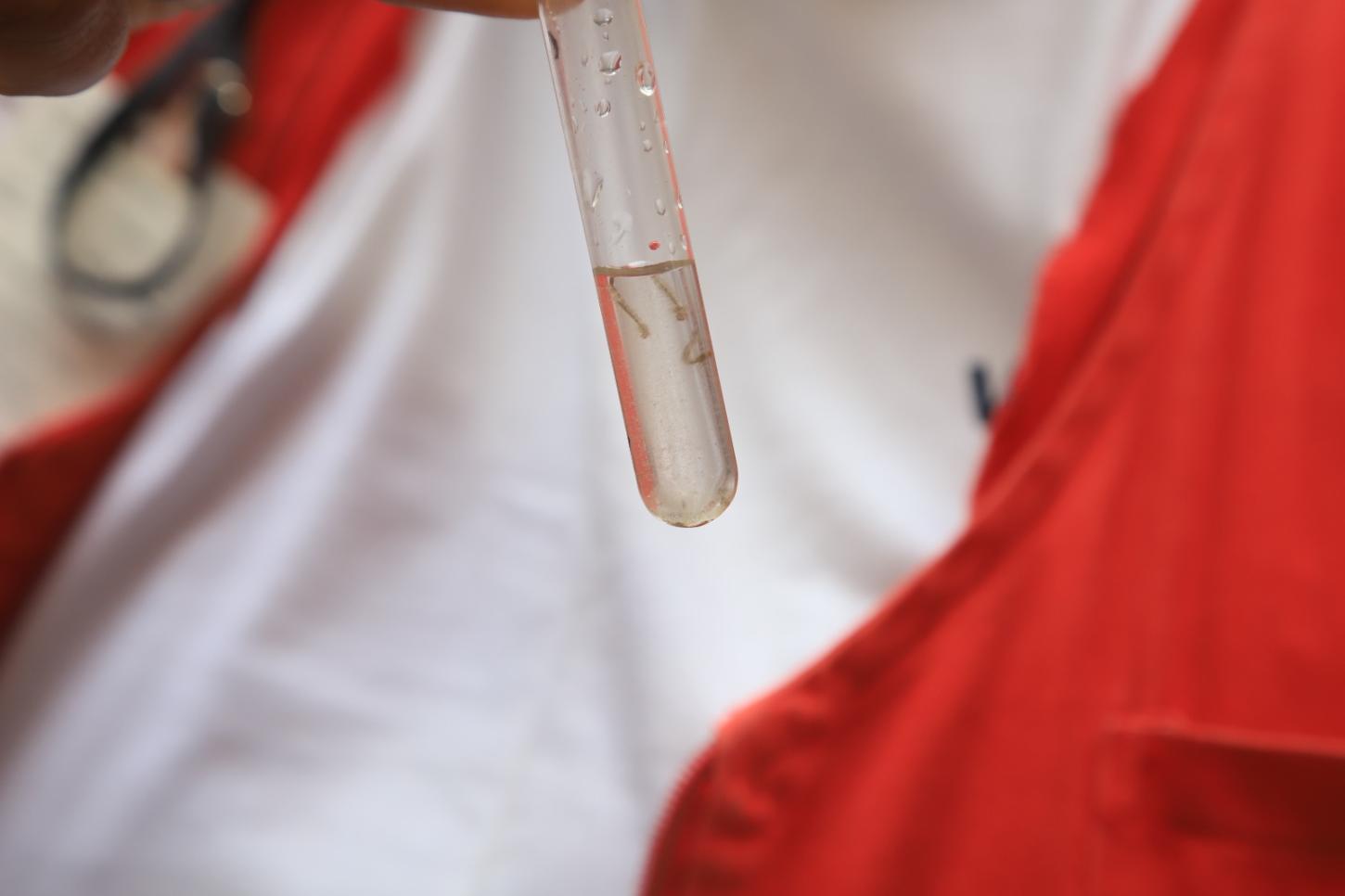 Prefeitura de Mauá intensifica prevenção contra o Aedes aegypti