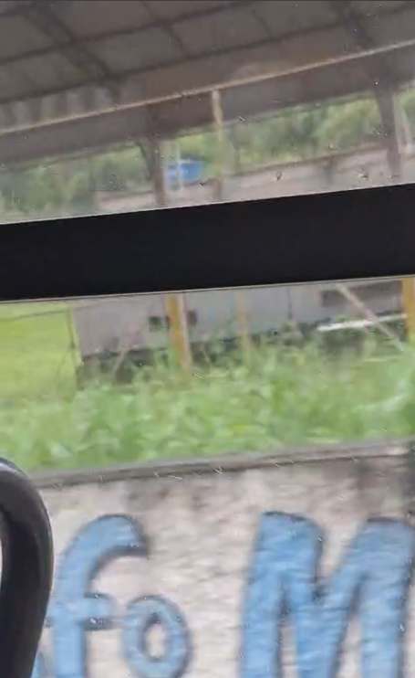 Mato alto em escola de Mauá preocupa moradores e favorece proliferação de mosquitos